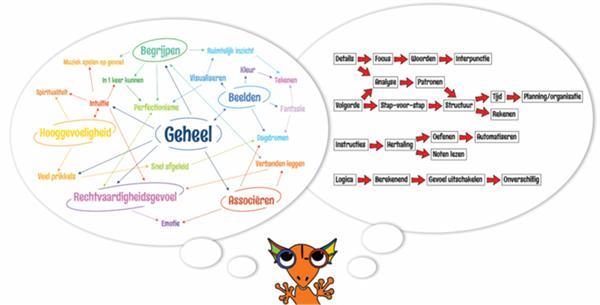 Grote foto online cursus het beelddenkende brein diensten en vakmensen workshops