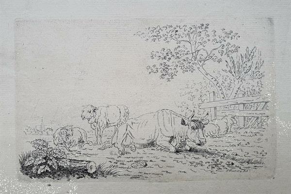 Grote foto original etching ets p. roosing after j. a. bakker 1796 verzamelen overige verzamelingen