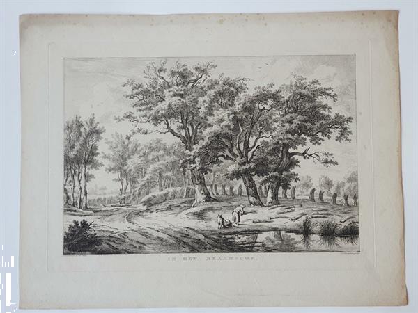 Grote foto antique etching and engraving e.v. drielst after h. schwe verzamelen overige verzamelingen