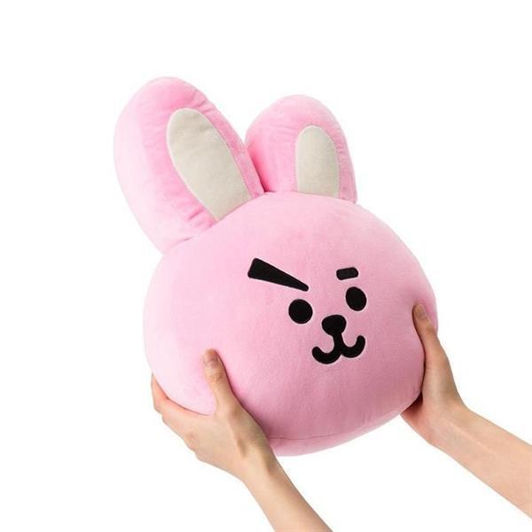 Grote foto bts bt21 cooky plush cushion w signature bag huis en inrichting kussens
