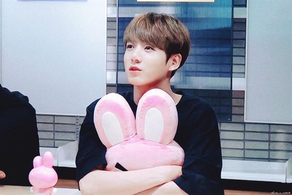 Grote foto bts bt21 cooky plush cushion w signature bag huis en inrichting kussens