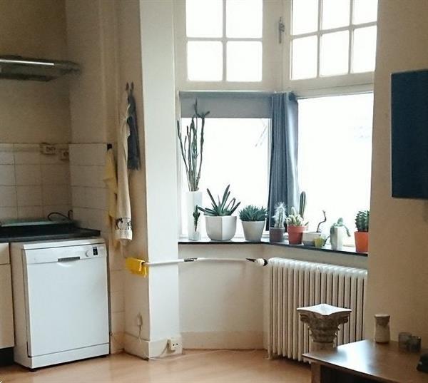 Grote foto appartement doctor nolensstraat in tilburg huizen en kamers appartementen en flat