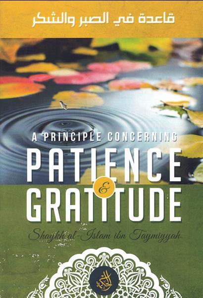 Grote foto a principle concerning patience gratitude boeken overige boeken