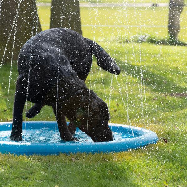 Grote foto splash pool sproeier dieren en toebehoren toebehoren