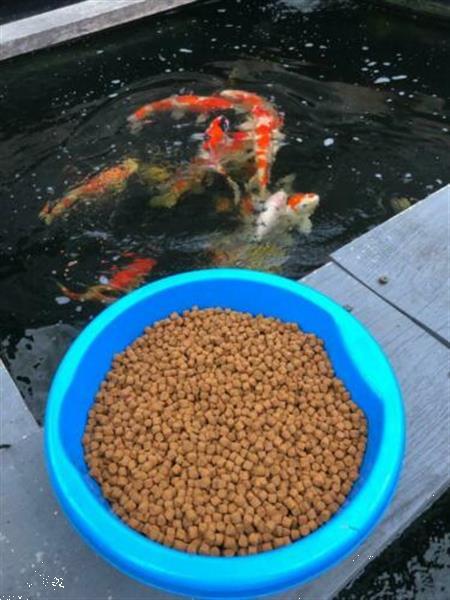 Grote foto koi capsanthine grower zinkend 8mm. 25kg. dieren en toebehoren toebehoren