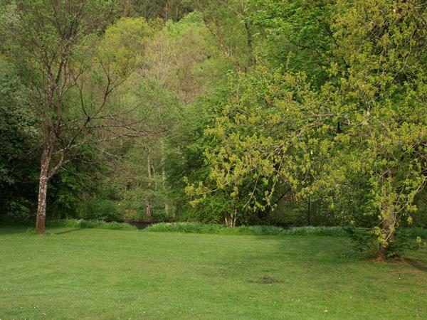 Grote foto vakantiehuis op domain long pre stavelot huizen en kamers recreatiewoningen