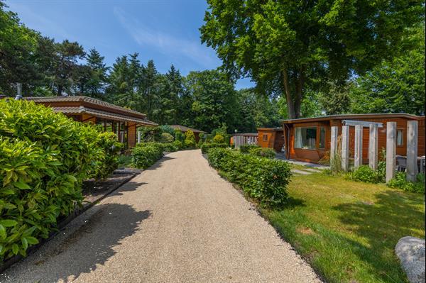 Grote foto welkom bij bungalowpark het verscholen dorp vakantie overige vakantiewoningen huren