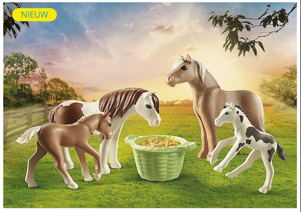 Grote foto playmobil country 71000 2 ijslandse pony met veulens kinderen en baby duplo en lego
