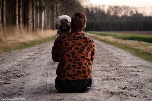 Grote foto fotograaf portret fotografie honden fotografie diensten en vakmensen fotografen