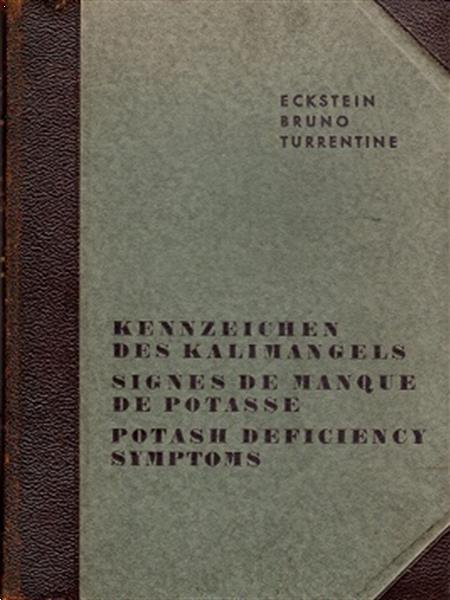Grote foto kennzeichen des kalimangels signes manque potasse boeken studieboeken