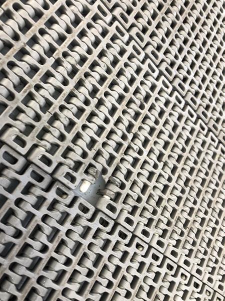 Grote foto br el plastic belt conveyor agrarisch transportbanden