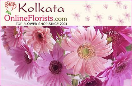 Grote foto best gifts for occasion of light in kolkata diensten en vakmensen tuinmannen en stratenmakers