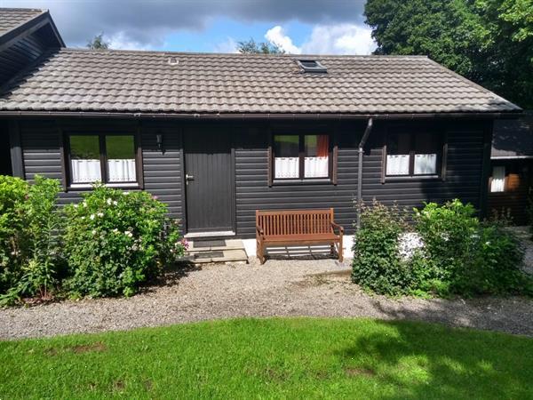 Grote foto comfortabele chalet 4 6p in de ardennen vakantie belgi