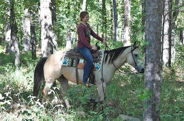 Grote foto buckskin american quarter horse ruin dieren en toebehoren paarden