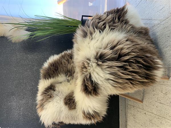 Grote foto hollandse en texelse schapenvacht tuin en terras tuindecoratie