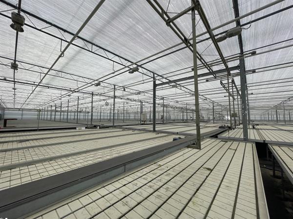 Grote foto fgm plantentransportbanden 2287 x 16 cm agrarisch tuinbouw