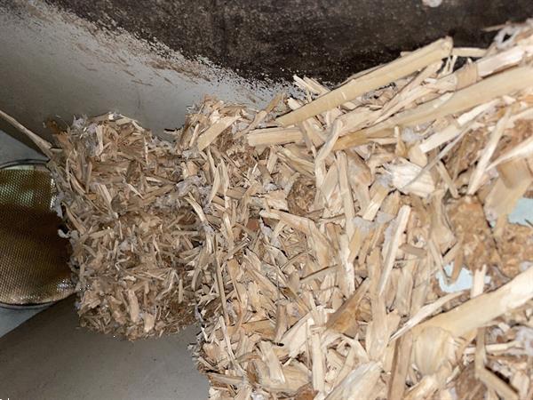 Grote foto shredder houtverkleiner hout schredder vela veb sk15 doe het zelf en verbouw afvalverwerking