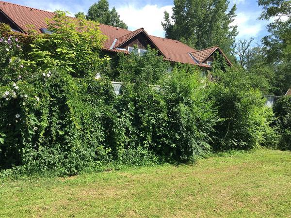 Grote foto hongarije zeer ruime luxe boerderij huizen en kamers bestaand europa