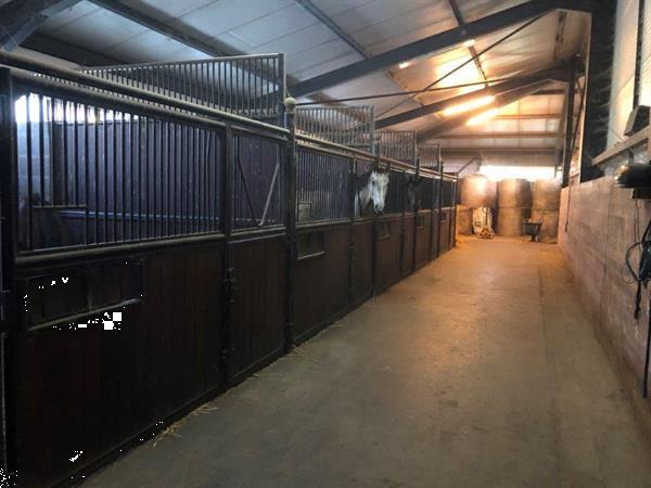 Grote foto hongarije zeer ruime luxe boerderij huizen en kamers bestaand europa