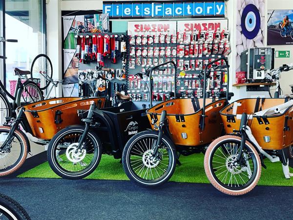 Grote foto vogue troy 3 elektrische bakfiets driewieler fietsen en brommers bakfietsen