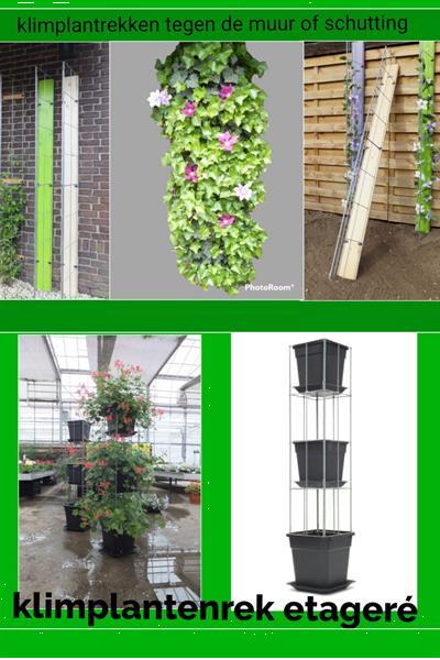 Grote foto plantenrekken plantensteun klimplantrek tuinrek tuin en terras tuindecoratie