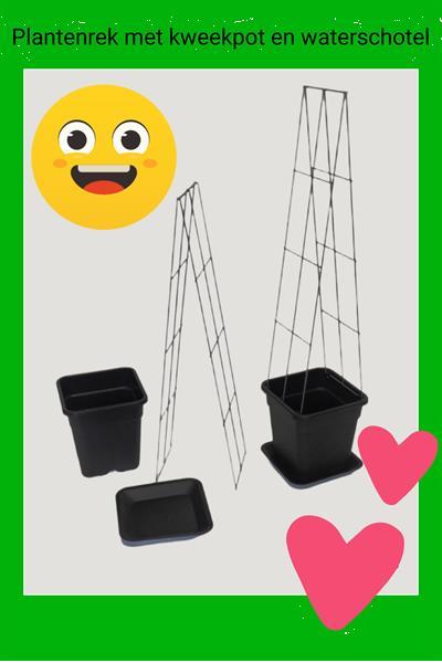 Grote foto plantenrekken plantensteun klimplantrek tuinrek tuin en terras tuindecoratie