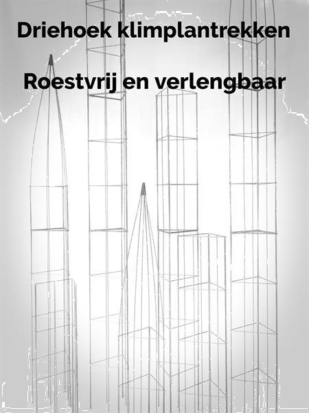 Grote foto plantenrekken plantensteun klimplantrek tuinrek tuin en terras tuindecoratie