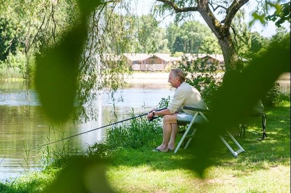 Grote foto chalets te huur op camping de pallegarste vakantie nederland noord