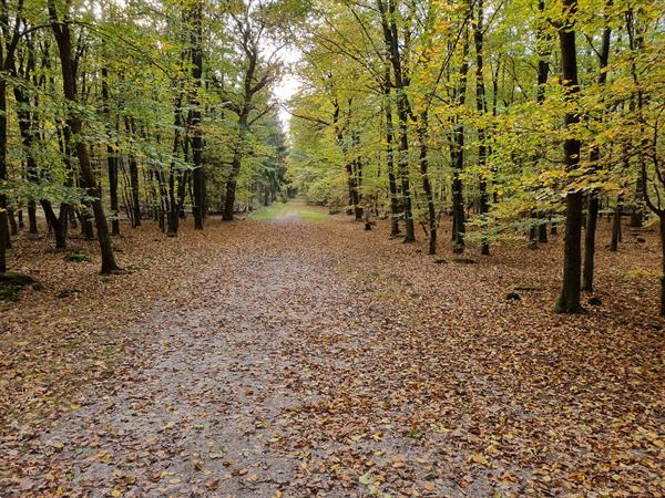 Grote foto vakantie op camping de tien heugten te schoonloo vakantie nederland noord