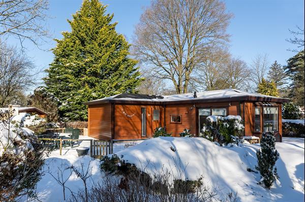 Grote foto vakantie vieren in gelderland huizen en kamers recreatiewoningen