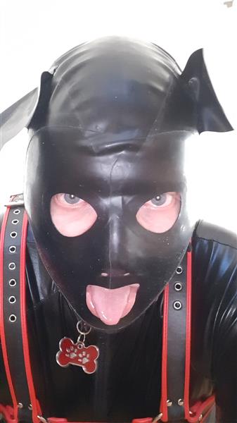 Grote foto slaaf zoekt vaste meester erotiek sm contact