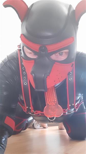 Grote foto slaaf zoekt vaste meester erotiek sm contact