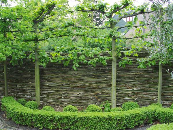 Grote foto wilgentenenschutting wilgenschutting tuin en terras hekken en schuttingen