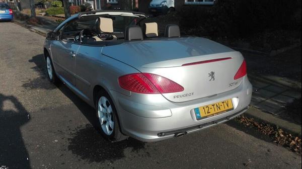 Grote foto peugeot 307 2.0 16v cc cabriolet.cruise airco nap auto peugeot