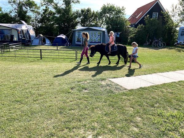 Grote foto lekker uitwaaien in zeeland vakantie nederland zuid