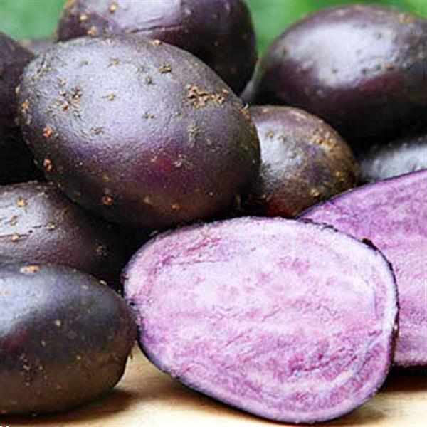 Grote foto verse aardappelen te koop agrarisch aardappelen
