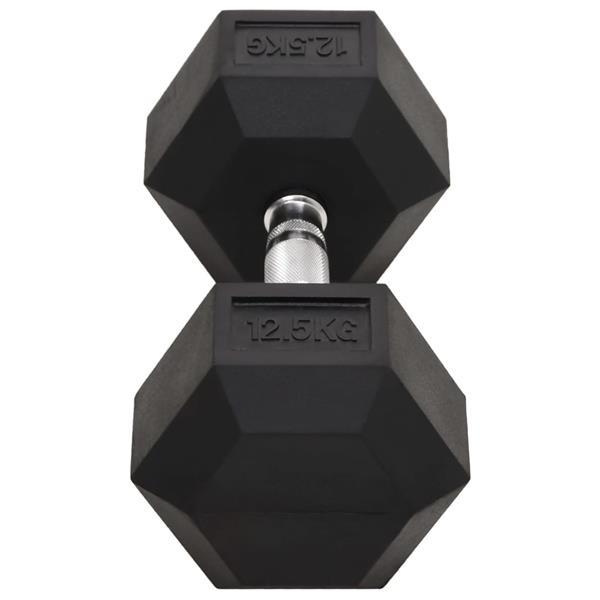 Grote foto vidaxl halters 2 st 25 kg gietijzer sport en fitness fitness