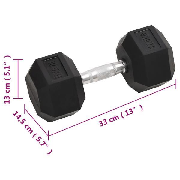 Grote foto vidaxl halters 2 st 25 kg gietijzer sport en fitness fitness