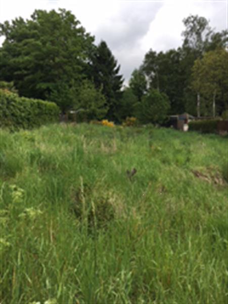 Grote foto bouwgrond te koop in alsemberg vlaams brabant huizen en kamers grondkavels