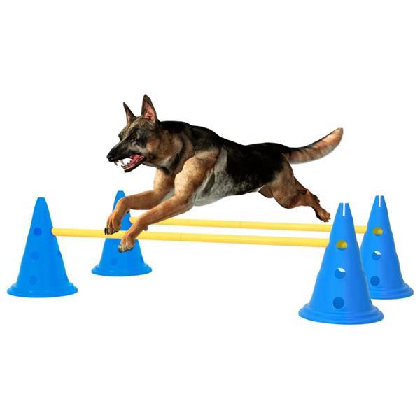 Grote foto vidaxl ensemble d obstacles d activit pour chien bleu et ja dieren en toebehoren toebehoren