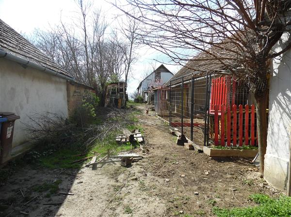 Grote foto hongarije boerderij met mogelijkheden huizen en kamers bestaand europa