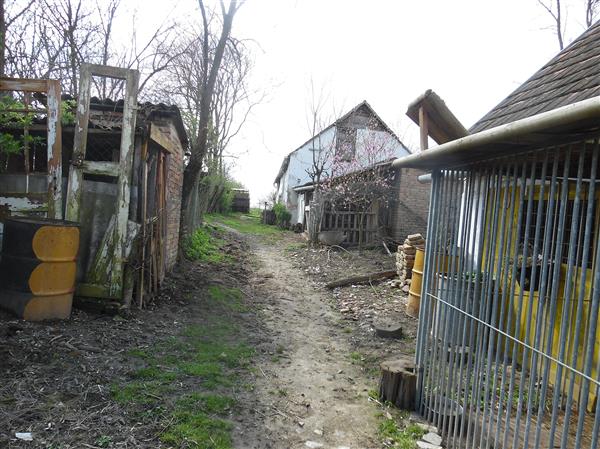 Grote foto hongarije boerderij met mogelijkheden huizen en kamers bestaand europa