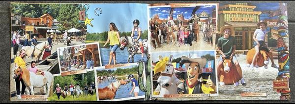Grote foto ponypark vakantiepark vakantie nederland midden