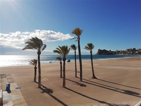 Grote foto snackbar restaurant ter overname in benidorm bedrijfspanden horecapanden te huur