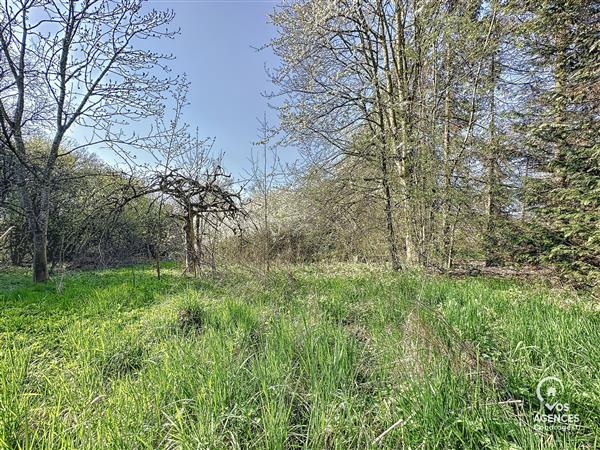 Grote foto terrains marche vos agences vastgoed in de ardennen huizen en kamers kavels europa