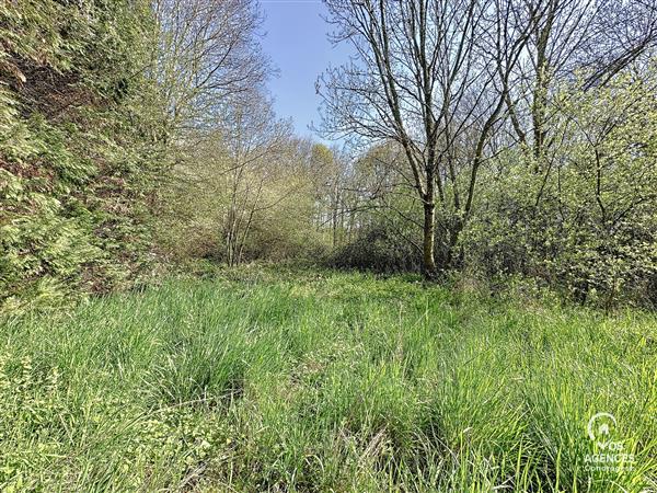 Grote foto terrains marche vos agences vastgoed in de ardennen huizen en kamers kavels europa