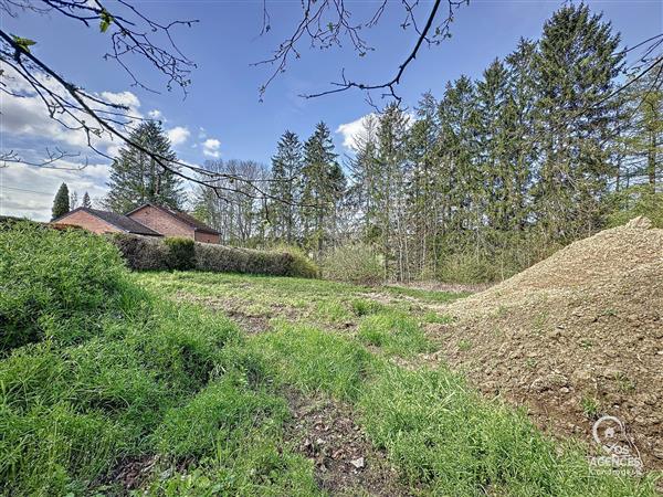 Grote foto marcourt vos agences vastgoed in de ardennen huizen en kamers kavels europa