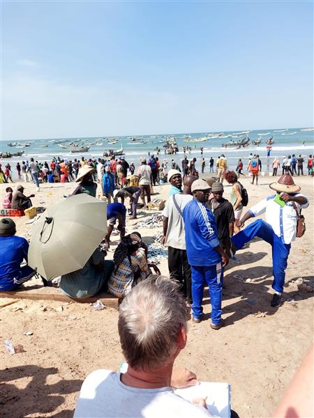 Grote foto ontdek enegal vakantie afrika