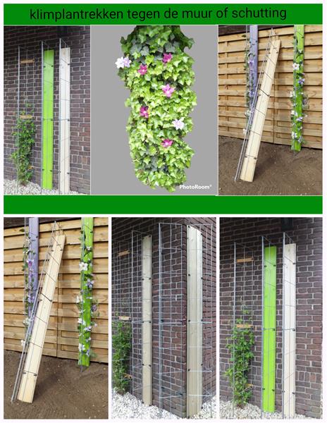 Grote foto plantenrekken tegen schuttingen muren en palen tuin en terras hekken en schuttingen