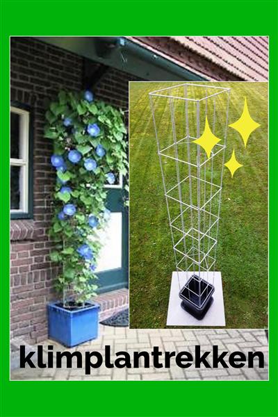 Grote foto plantenrekken tegen schuttingen muren en palen tuin en terras hekken en schuttingen